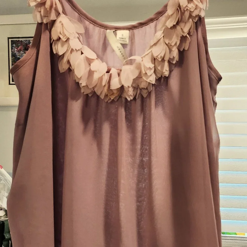 Lauren Conrad Slip/Layer - Picture 2 of 4